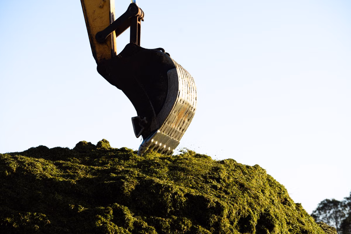 Close-up of a yellow excavator arm with a toothed digging bucket lowered onto a heap of green material against a clear sky.